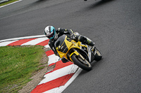 brands-hatch-photographs;brands-no-limits-trackday;cadwell-trackday-photographs;enduro-digital-images;event-digital-images;eventdigitalimages;no-limits-trackdays;peter-wileman-photography;racing-digital-images;trackday-digital-images;trackday-photos